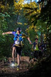 BIB: 2237
                            <button type="button" onclick="openModal(19236767)" class="btn btn-primary btn-sm float-right btn-popup" data-toggle="modal" data-target=".modal-high-quality">
                        <i class="fas fa-shopping-cart"></i> Add to Cart
                    </button>
                                            <button type="button" onclick="isThisMe(19236767, true)" class="btn btn-success btn-sm float-right btn-popup btn-isme hidden" data-toggle="tooltip" data-placement="bottom" title="นี่คือรูปของคุณใช่ไหม คลิกที่นี่เพื่อเอาเข้าอัลบั้ม">
                        <i class="fas fa-plus"></i> Add to album
                    </button>
                    <button type="button" onclick="isThisMe(19236767, false)" class="btn btn-warning btn-sm float-right btn-popup btn-isnotme hidden">
                        <i class="fas fa-ban"></i> Remove from album
                    </button>